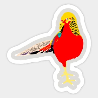 Golden Pheasant Sticker